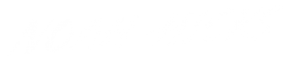 Noah Hicks logo
